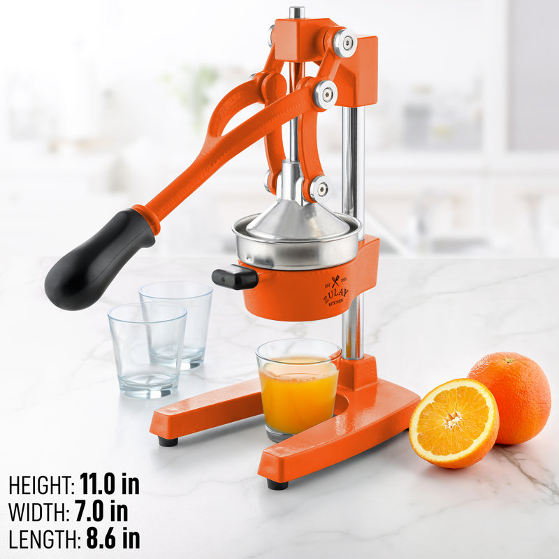 Juicer oranges best sale